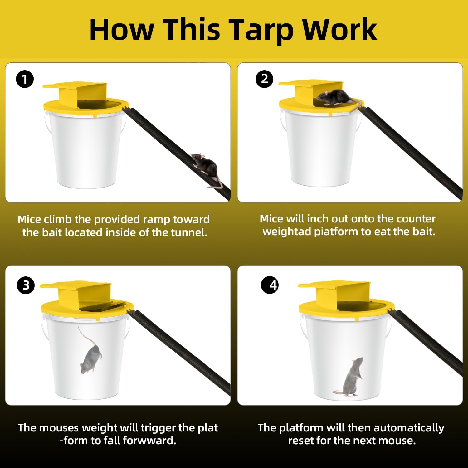 Mouse trap use process